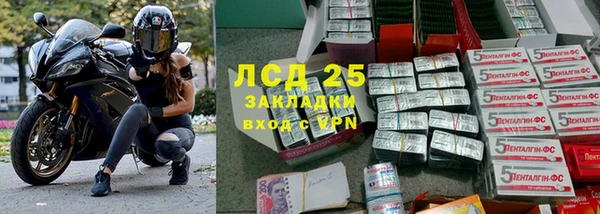тгк Болохово
