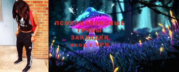 mix Надым