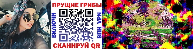 Галлюциногенные грибы Magic Shrooms  omg ТОР  Тогучин 